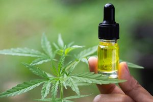 CBD Oil: Can It Help Professional Boxers Recuperate Faster?